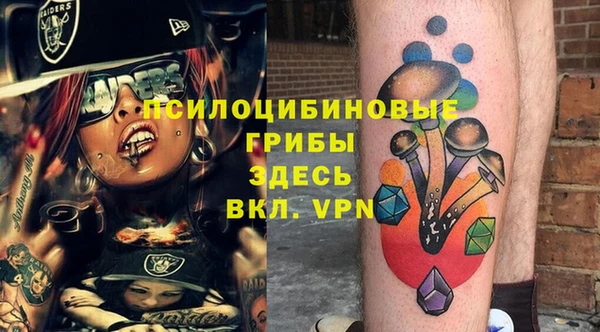 мдпв Ладушкин