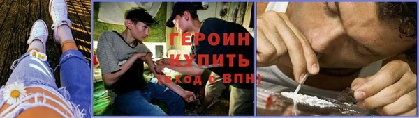 мдпв Ладушкин