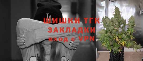 мдпв Ладушкин