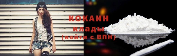 ГАЛЛЮЦИНОГЕННЫЕ ГРИБЫ Куйбышев