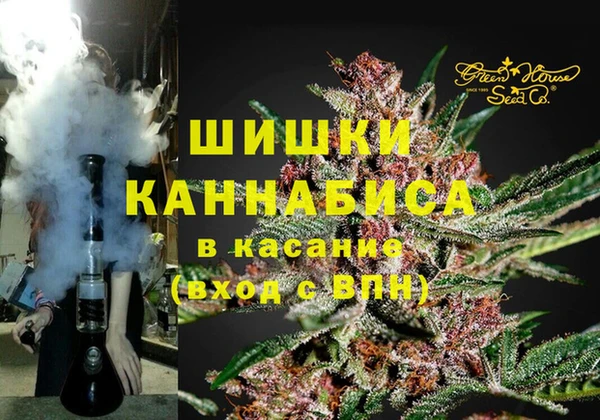 мдпв Ладушкин