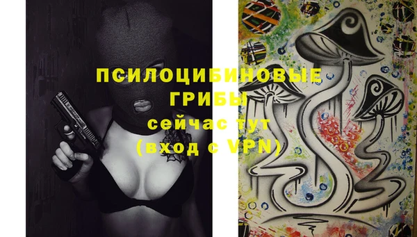 прущие крисы Лабытнанги