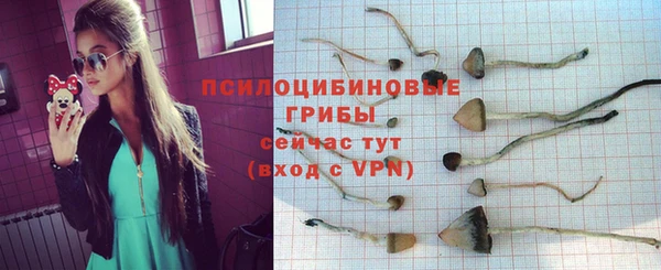 мдма Лагань