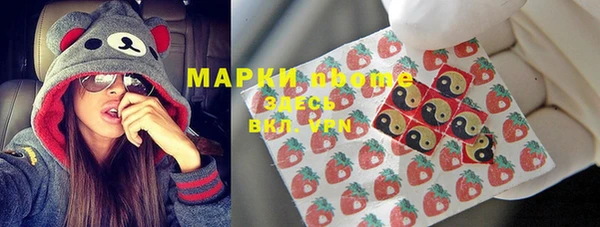 мдпв Ладушкин