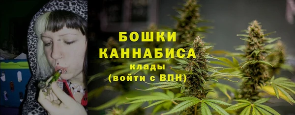 мдпв Ладушкин